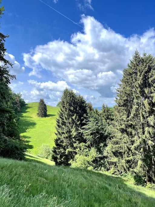 Ferienwohnung Am Hang Mit Malerischer Aussicht Osterode am Harz Bagian luar foto