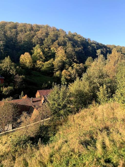 Ferienwohnung Am Hang Mit Malerischer Aussicht Osterode am Harz Bagian luar foto